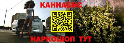 ALPHA PVP Камышлов