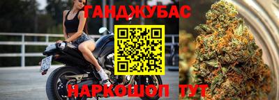 крисы Канаш
